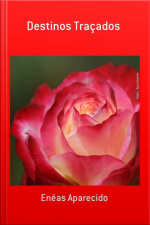 Destinos Traçados