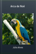 Arca De Noé