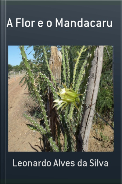 A Flor E O Mandacaru