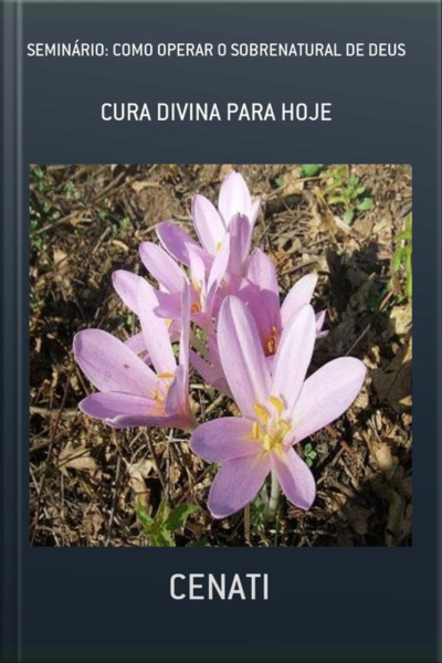 Seminário: Como Operar O Sobrenatural De Deus