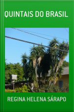 Quintais Do Brasil