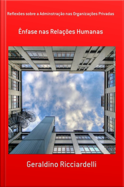 Reflexões Sobre A Adminstração Nas Organizações Privadas