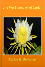 Una Flor Blanca En El Cardal