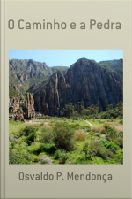 O Caminho E A Pedra