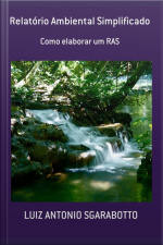 Relatório Ambiental Simplificado