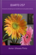 Quarto 207