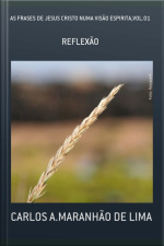 As Frases De Jesus Cristo Numa Visão Espirita,vol.01