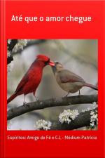 Até Que O Amor Chegue