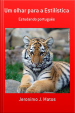 Um Olhar Para A Estilística