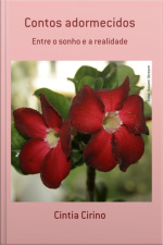 Contos Adormecidos