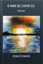 O Mar De Caymi 03