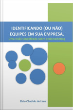 Identificando (ou Não) Equipes Em Sua Empresa