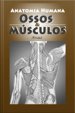 Anatomia Humana. Ossos  Músculos.