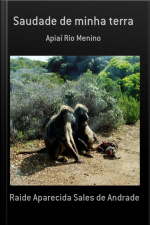 Saudade De Minha Terra