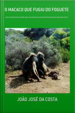 O Macaco Que Fugiu Do Foguete