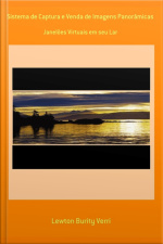 Sistema De Captura E Venda De Imagens Panorâmicas