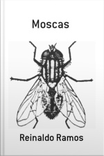 Moscas