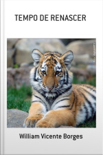 Tempo De Renascer