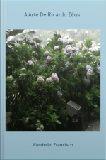 A Arte De Ricardo Zéus