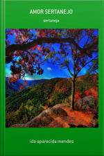 Amor Sertanejo