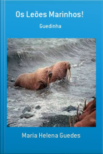 Os Leões Marinhos!