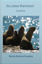 Os Lobos Marinhos!