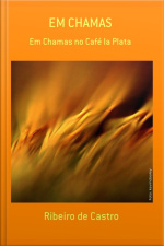 Em Chamas
