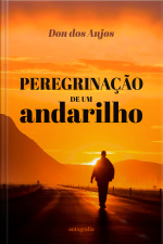 Peregrinação de um andarilho