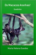 Os Macacos Aranhas!