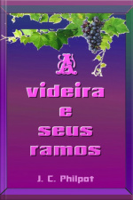 A Videira E Seus Ramos