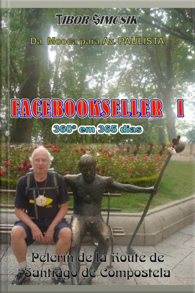 Facebookseller I - 360º Em 365 Dias