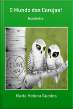 O Mundo Das Corujas!