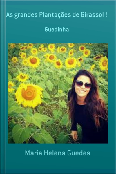 As Grandes Plantações De Girassol !