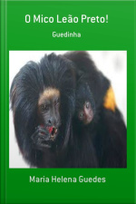 O Mico Leão Preto!