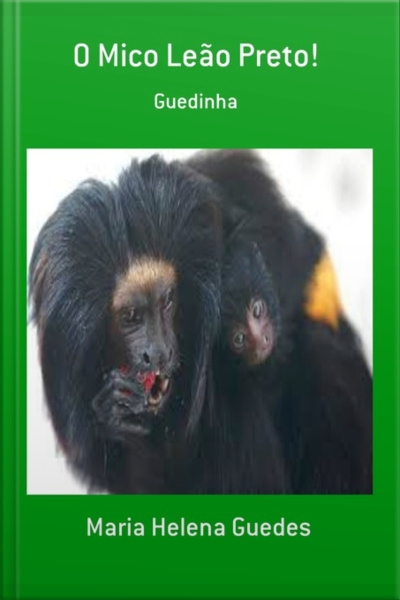 O Mico Leão Preto!