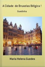 A Cidade De Bruxelas Bélgica !