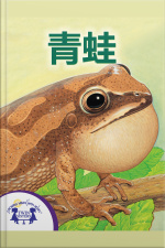 青蛙