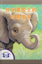 非洲草原上的动物宝宝