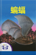 蝙蝠