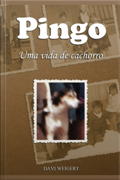 Pingo
