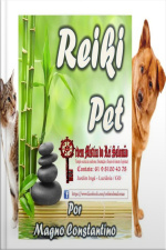 Reiki Pet