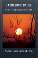 O Peregrino Da Luz