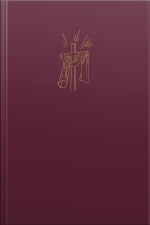 Bíblia Sagrada Slim Nvi, Luxo, Cereja