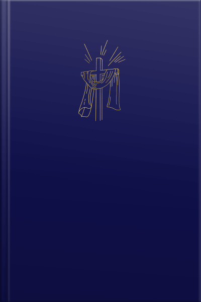 Bíblia Sagrada Slim Nvi, Luxo, Azul Marinho