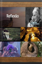 Reflexão