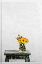 A Jornada Do Escritor Continua...