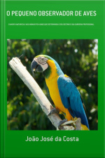 O Pequeno Observador De Aves