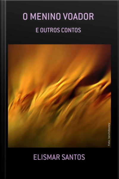 O Menino Voador