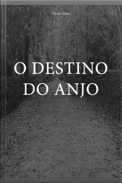 O Destino Do Anjo