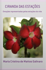 Ciranda Das Estações